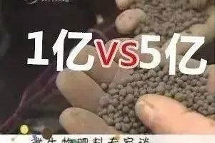 锌肥对玉米的作用