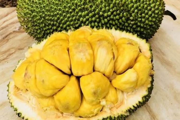 菠萝蜜要施什么肥