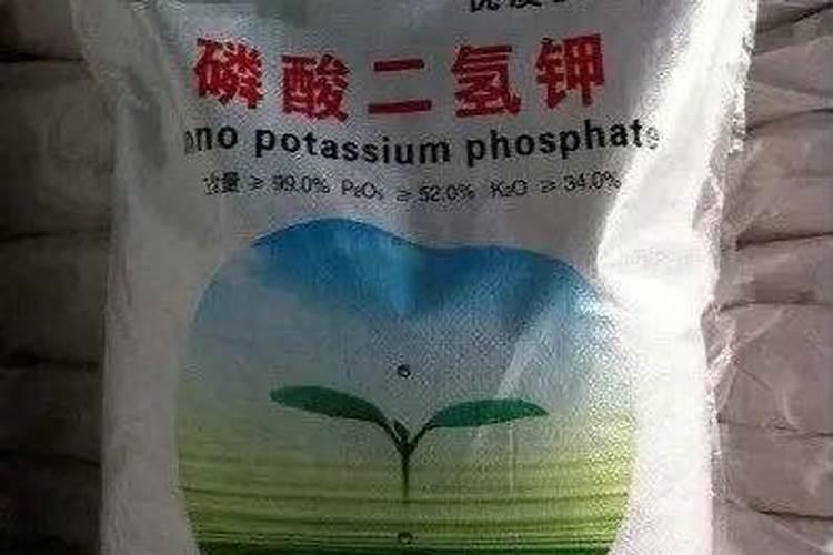 浇花用的肥料怎么区分磷肥氮肥钾肥