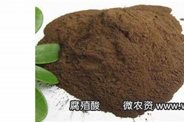 给君子兰上的矿物质肥是什么