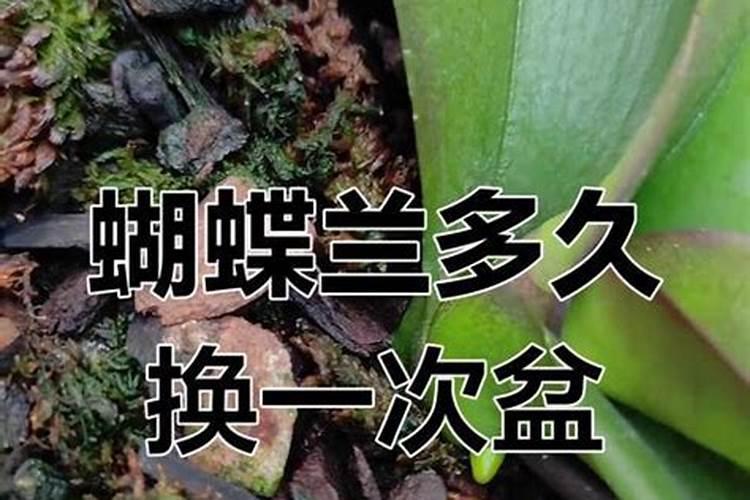 玉米底肥氮磷钾配比含量多少合理