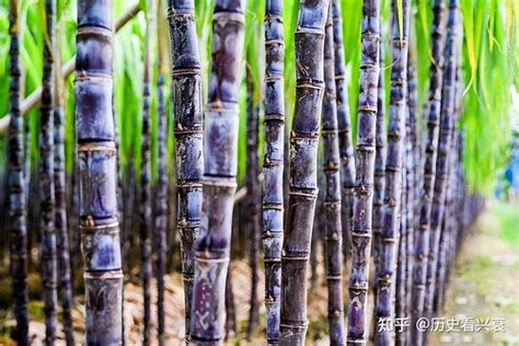 辣椒初花期每亩滴二公斤半高钾肥合适吗