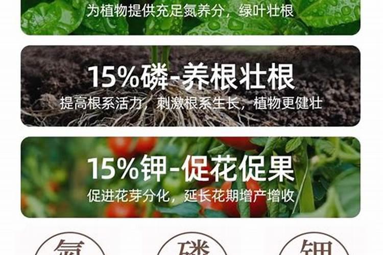 河北康诺肥业有限公司是做什么的