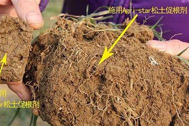 氮肥施用方法及注意事项