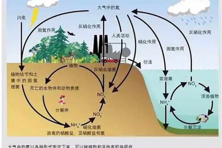 化学肥料的环境污染