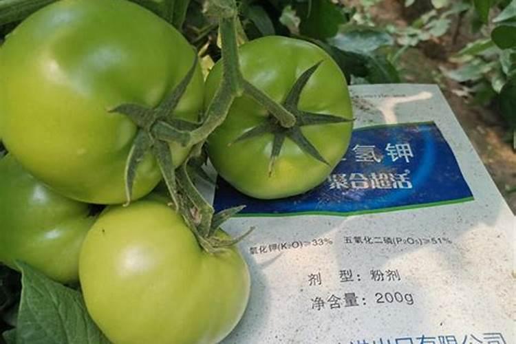 大姜后期要冲施什么化肥