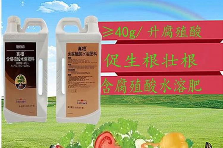 香蕉缺锌的症状和补救措施是什么？