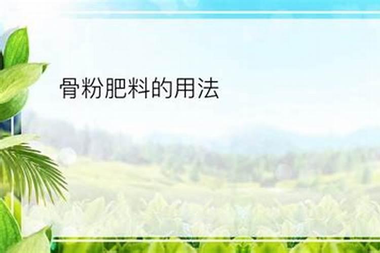 君子兰施肥用什么肥料长得好