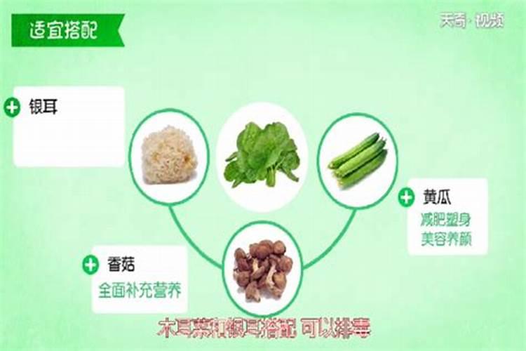 电导率测定仪的使用方法