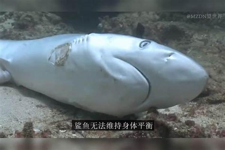 磷酸二铵正确施肥方法