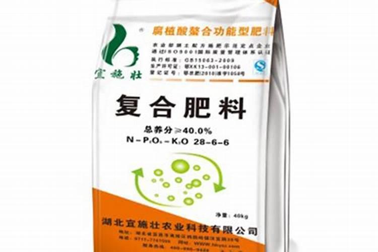 黄桷兰怎么施肥