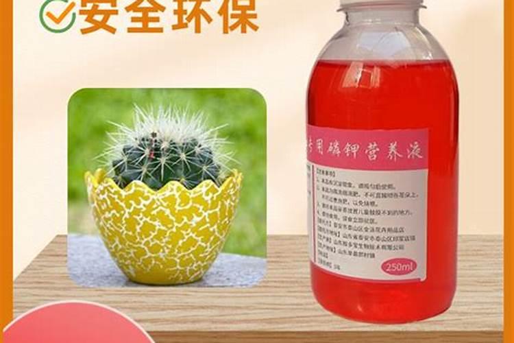 玉米追肥硝酸铵钙和尿素哪个好