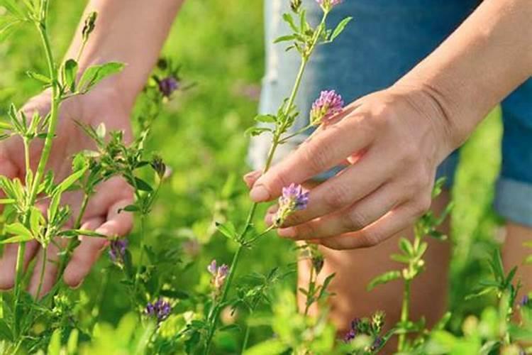 检验一种化肥是铵盐氮肥的方法是(科学方法)