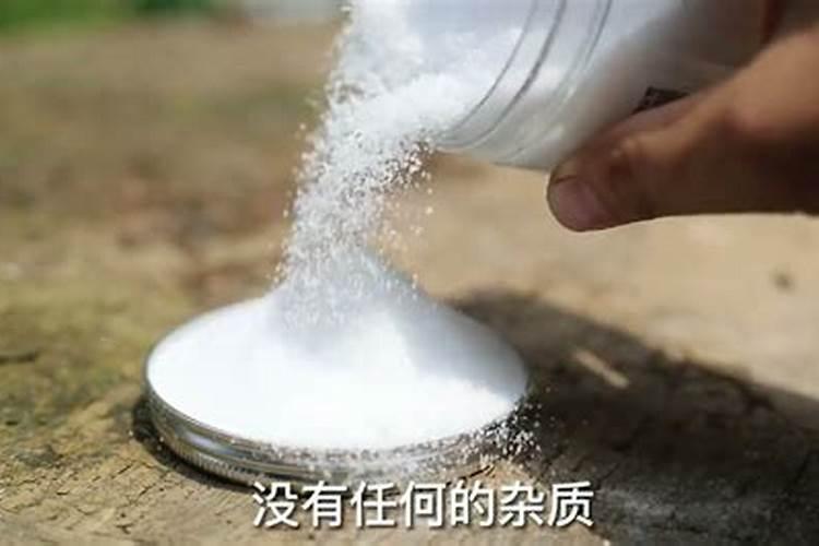玉米矮壮素打早了有影响吗