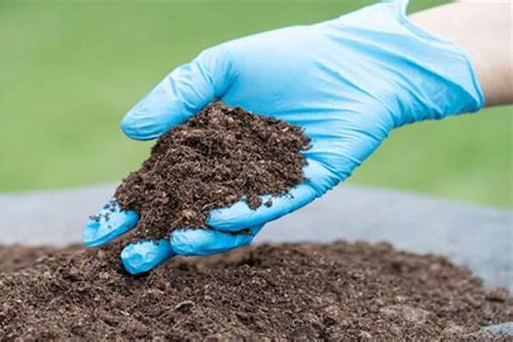 自制肥料怎么加快腐熟发酵？