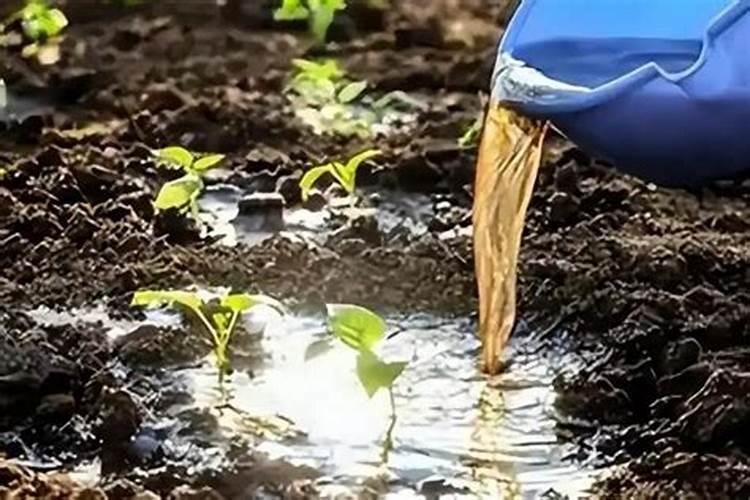 翡翠证书天然矿物质是什么意思