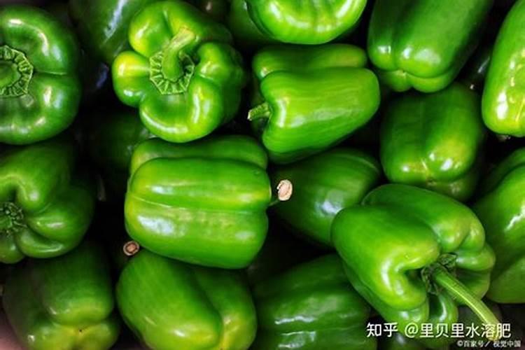 做馒头加果蔬是发孝好了加还是加了在发孝啊
