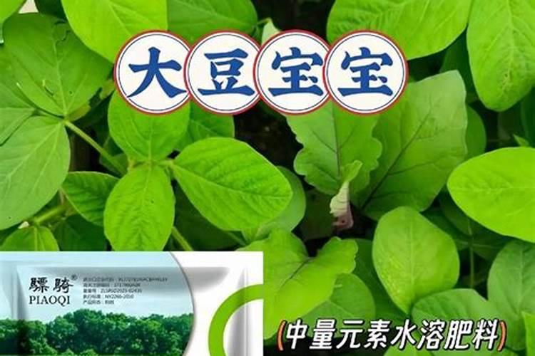 树脂封存植物会坏吗