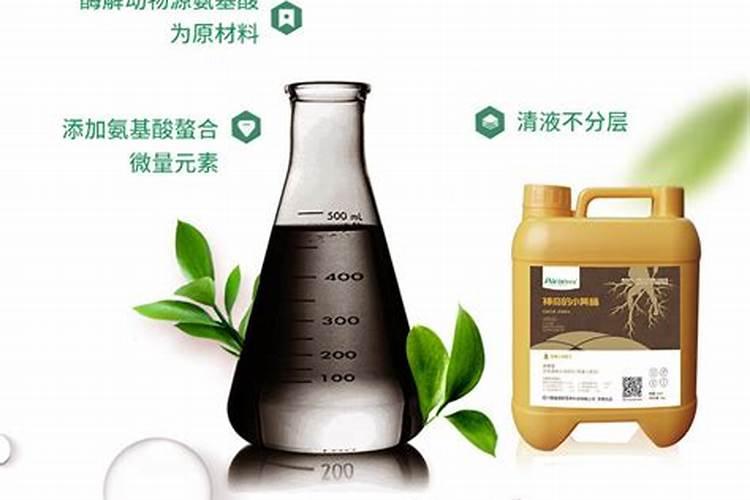 南宁哪里有黑籽花生卖