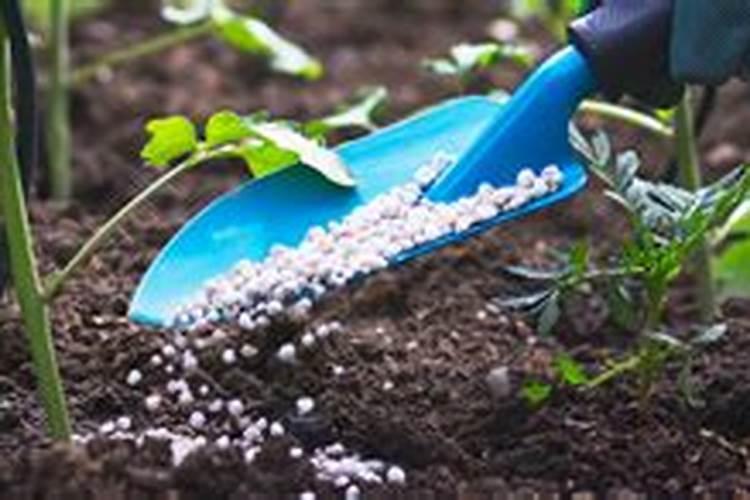 尿素有效期多少天,尿素的主要成分是什么