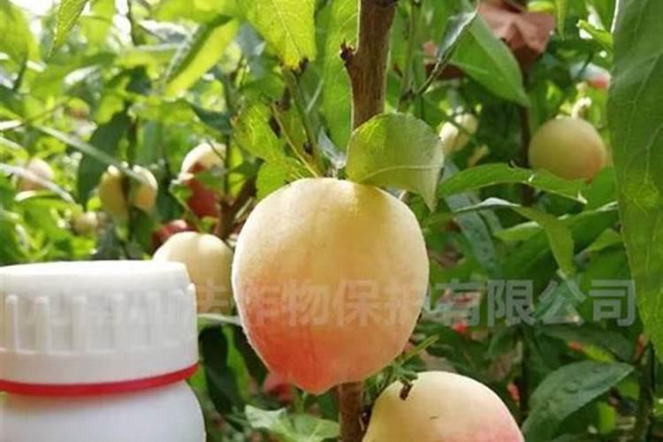 腐植酸肥料的作用和使用方法
