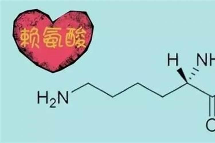 金线莲哪些人不能用