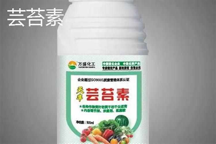 调节剂胺鲜酯和芸苔素哪个效果更好？农户应该如何选择？