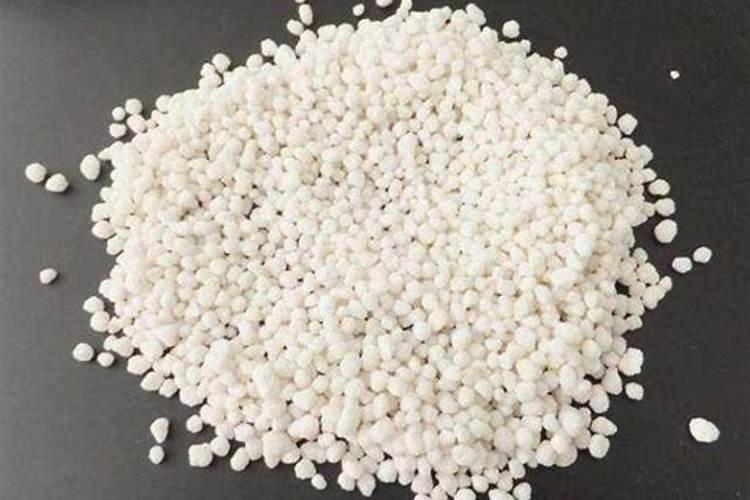 蚯蚓粪种花好吗