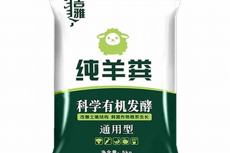 山西玉米价格今日价一斤多少钱一斤今日晋中玉米价格？