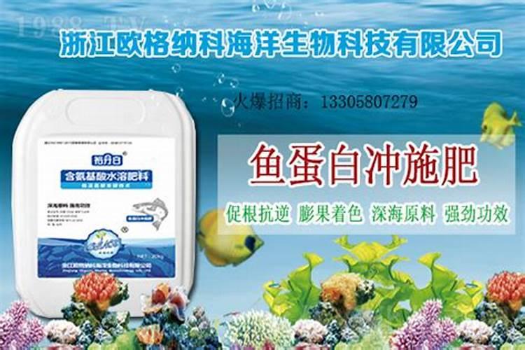 鱼蛋白肥料制作方法,附使用方法和注意事项