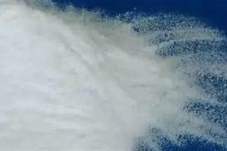 广东彩艳股份有限公司的介绍