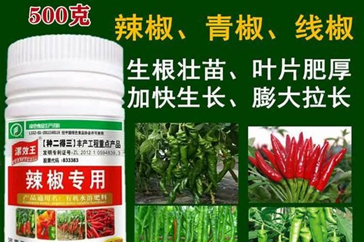 辣椒种植过程施肥情况
