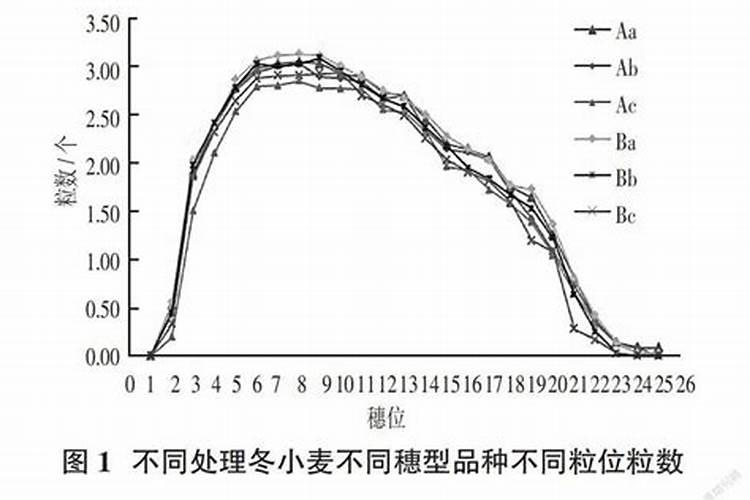 甘蓝用什么肥包心快