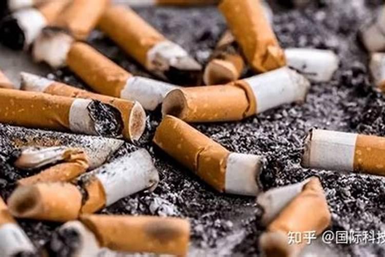 什么是磷肥和钾肥