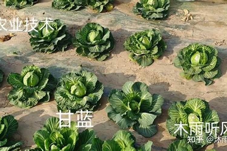 安丘市越瀚生物肥业有限公司怎么样？