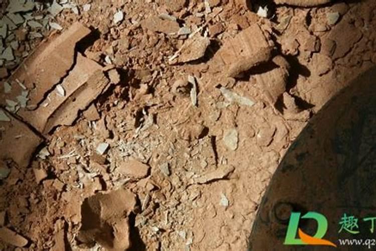 甜菜什么时候打叶子好？