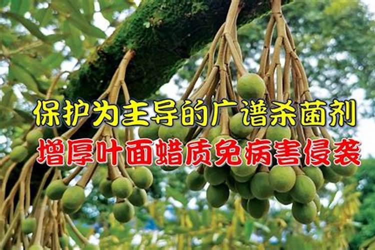 叶面肥在葡萄管理上非常重要,如何用才能够达到最好的效果？