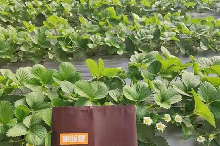 北京市钾肥、氮肥、磷肥、复合肥各多少钱一吨？