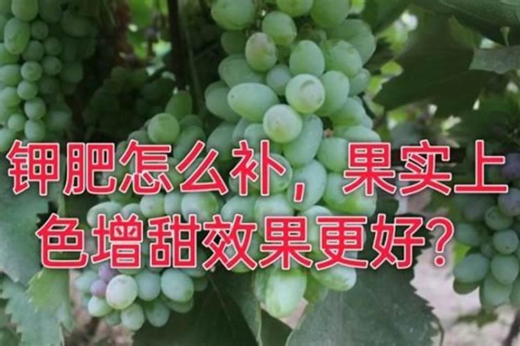 莲蓬施肥用氯化钾还是硫酸钾？