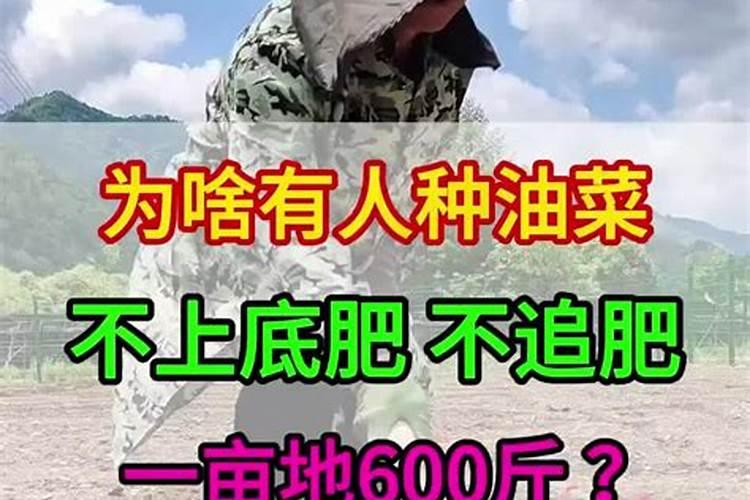 鸡蛋壳为什么可以做肥料？