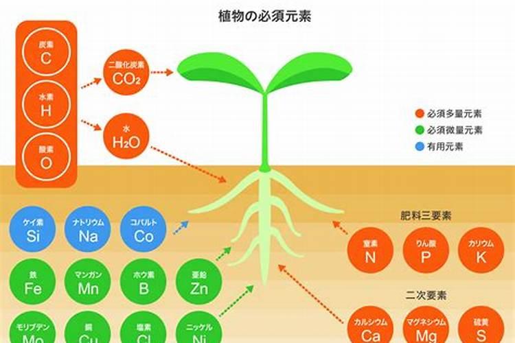 冲施肥生产厂家 谁知道国内比较好的颗粒冲施肥生产厂家,要求证件齐全...