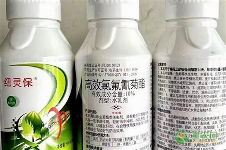 硼肥是什么肥料怎样使用