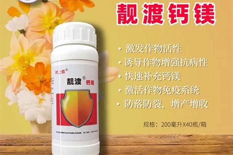 李子树叶子干枯怎么回事？怎么治疗啊？急急急