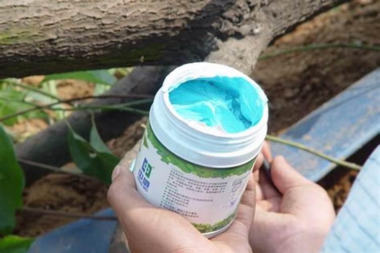 杨树树叶发黄枯萎怎么办？