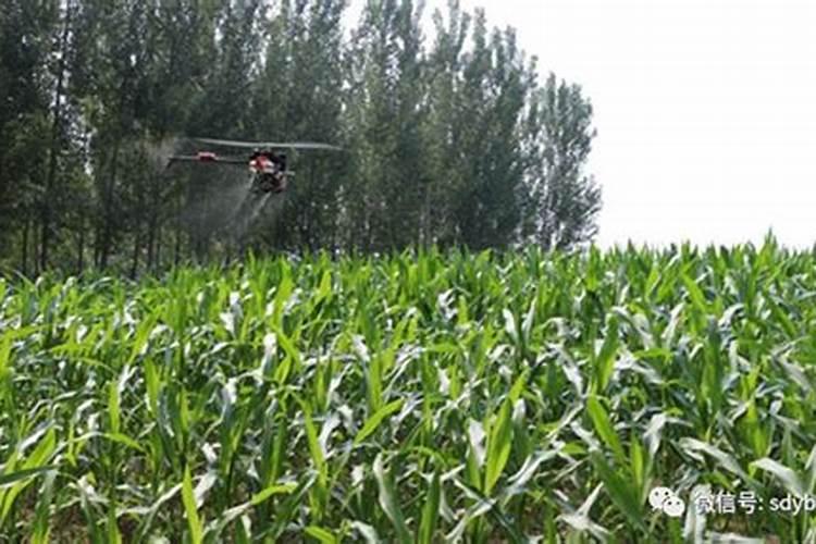 如何自制钾肥 自制钾肥用什么原料