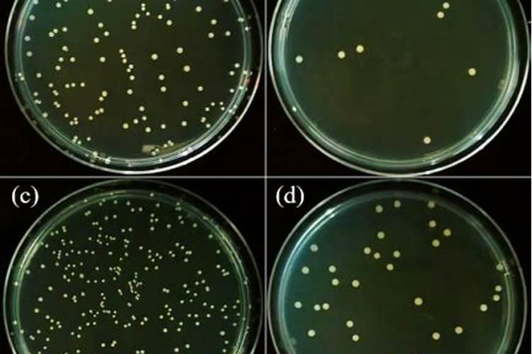 哪些农药不能复配混用