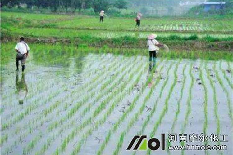 含氨基酸水溶肥料作用,碳铵肥料的特点和作用？