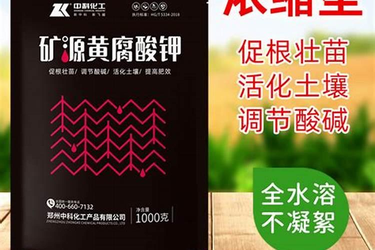 果树春季施尿素还是碳铵好？果树春季施肥,千万别用这两种肥!谁用谁后悔...