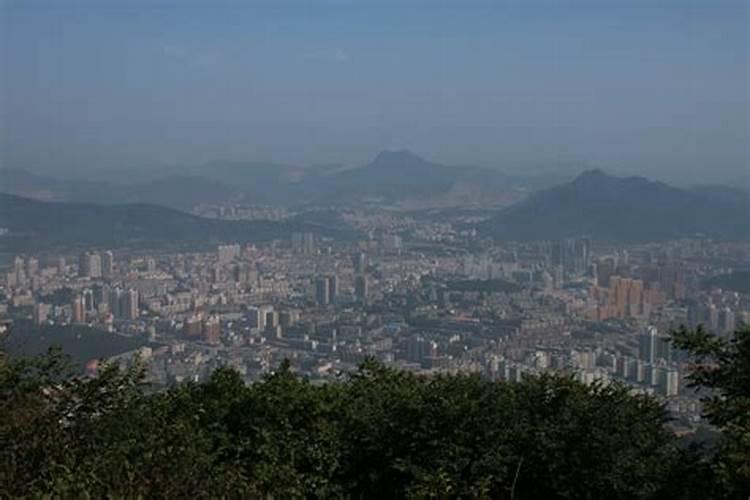 大棚韭菜种植技术