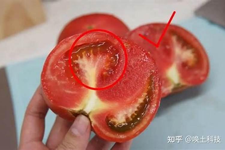 肥料包括哪些种类